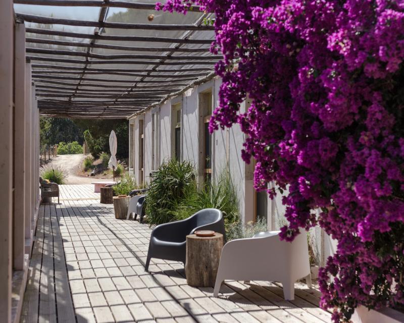 Uva Do Monte - Blueberry Farm Vila Comporta Exterior foto